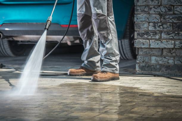 Best Paint Preparation  in Petaluma, CA